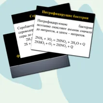 Презентация по биологии на тему 
