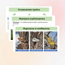 Презентация по биологии «Общая характеристика грибов» 7 класс