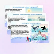 Презентация «Всемирный день китов и дельфинов»