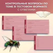 Презентация «Многообразие насекомых» к учебнику по биологии для 7 класса- Пасечник В.В., Суматохин С.В. и др.