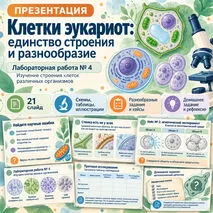 Презентация 