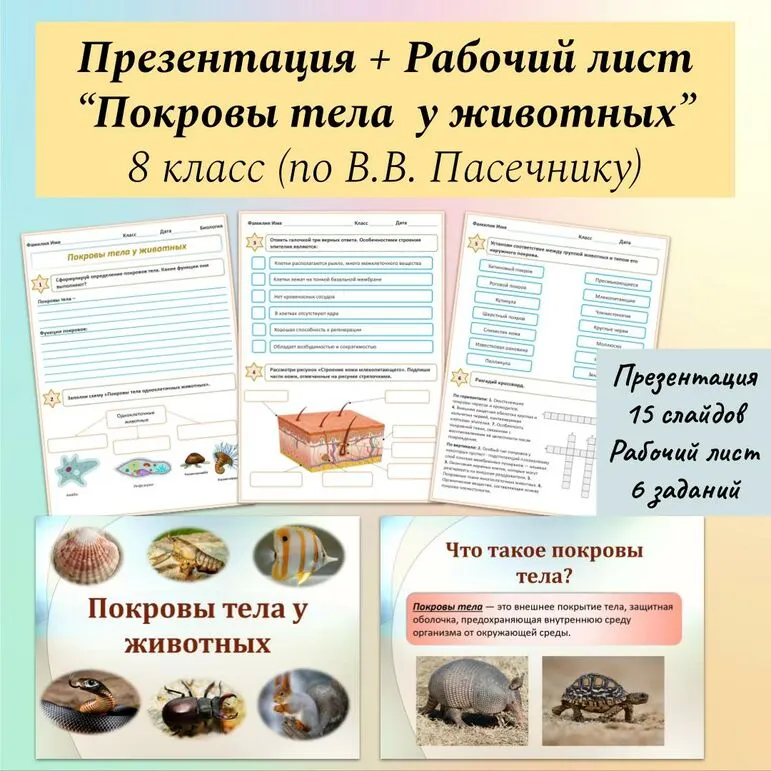 Комплект к уроку биологии 
