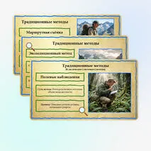 Презентация по географии 