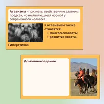«Человек как часть природы», 9 класс