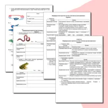 Проверка знаний для 8 класса по системам животных: дыхательная, пищеварительная, кровеносная и выделительная.