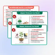 Презентация 
