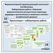Комплект по биологии (презентация + лаб. работа) «Ферментативный характер реакций клеточного метаболизма. Лабораторная работа «Изучение ферментативного расщепления пероксида водорода в растительных и животных клетках» 10 класс (углубленный уровень)