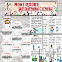 Оформление доски 