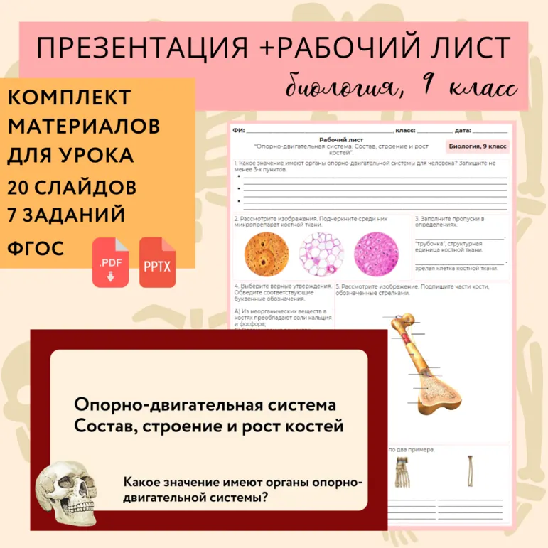 «Опорно-двигательная система. Состав, строение и рост костей», 9 класс