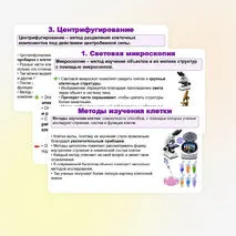 Презентация по биологии (10 класс) «История и методы изучения клетки. Клеточная теория» (В.В. Пасечник)