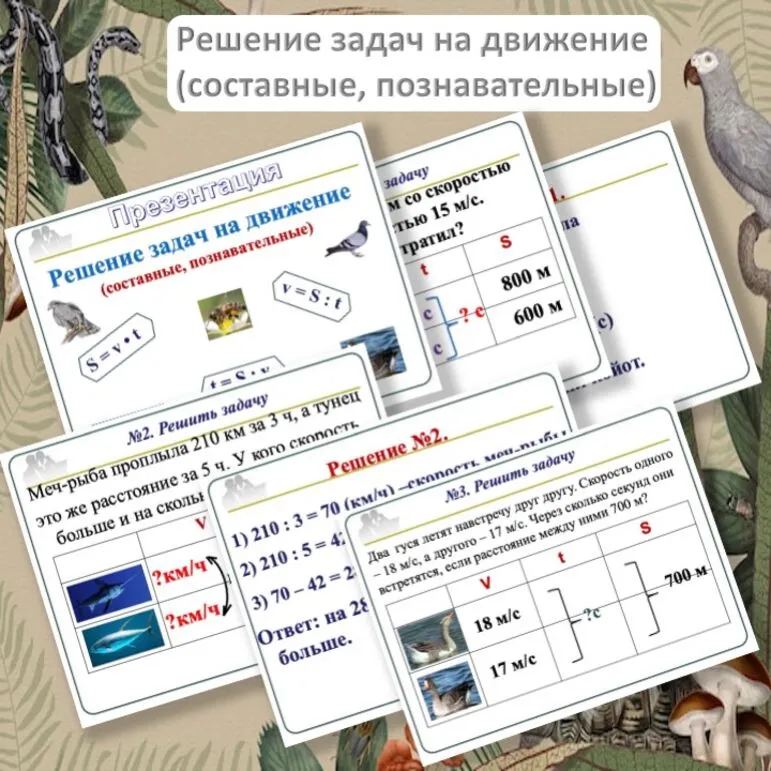 Презентация 