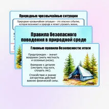 Презентация «Правила безопасного поведения в природной среде». ОБЗР. 9 класс