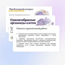 Презентация 