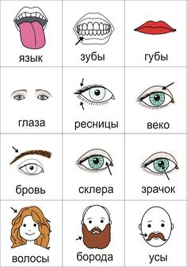 Пин содержит это изображение: 