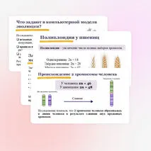 Презентация 