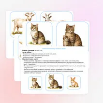 Лексическая тема «Домашние животные». Логопедическая игра «Мамы и детки»