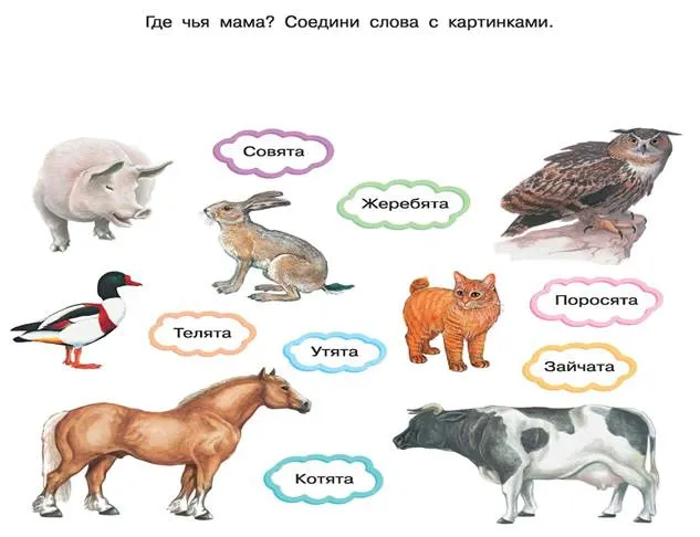 https://www.analogi.net/wp-content/uploads/zadaniya-dlya-detey-po-razvitiyu-rechi-1-scaled.jpg
