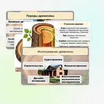 Презентация «Виды и свойства конструкционных материалов. Древесина. Практическая работа 