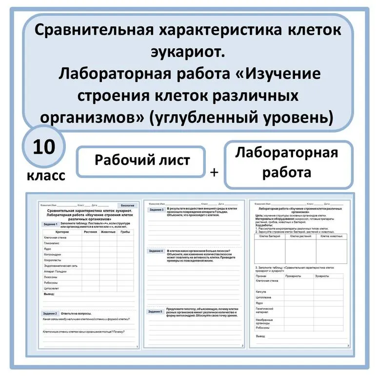 Рабочий лист 