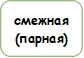смежная (парная)