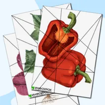 Пазлы «Овощи».