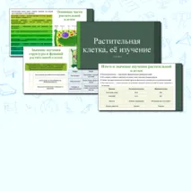 Презентация по теме: «Растительная клетка, её изучение». 6 класс