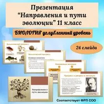 Презентация к уроку 