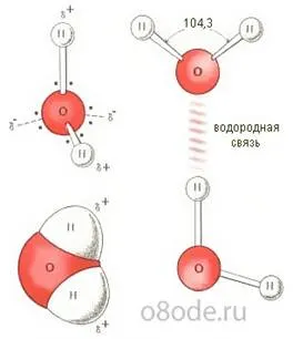 http://www.o8ode.ru/image/moleg2008/070608-o8ode2.jpg
