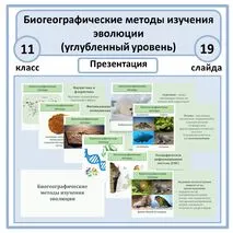 Презентация по биологии 