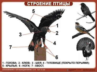 https://docs.google.com/viewer?url=http%3A%2F%2Fnsportal.ru%2Fsites%2Fdefault%2Ffiles%2F2014%2F05%2F18%2Ftablitsy_po_okr._miru.ppt&docid=705950a2970a114588092457583edfff&a=bi&pagenumber=16&w=524