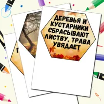 Гексы для оформления 