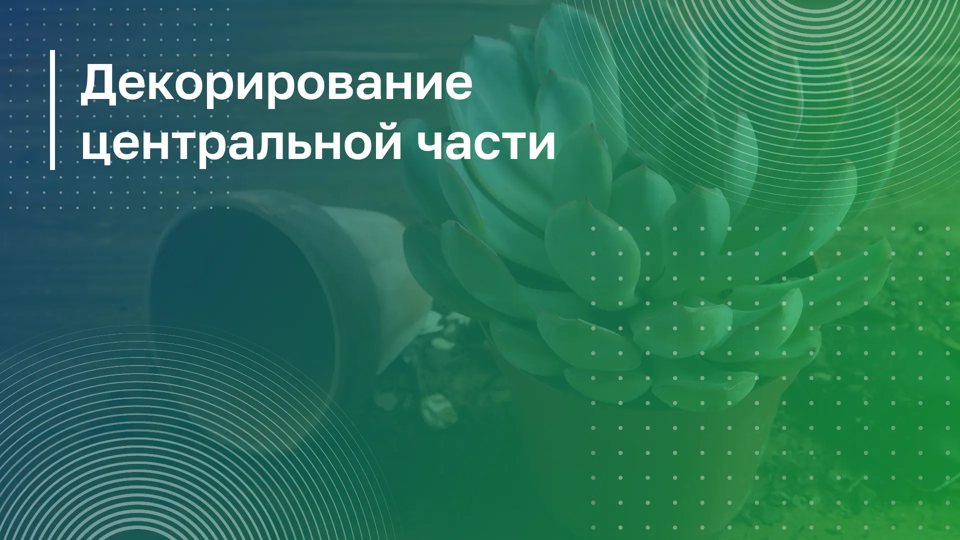 Обложка курса