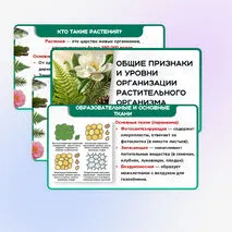 Презентация 