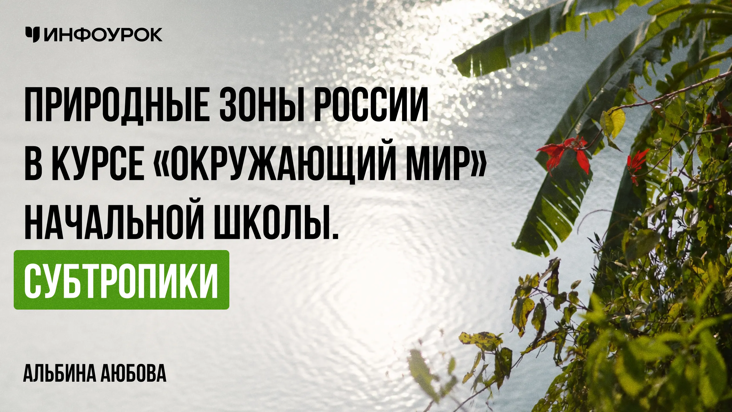 Природные зоны России в курсе «Окружающий мир» начальной школы. Субтропики