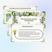Презентация по биологии «Растительная клетка, её изучение»