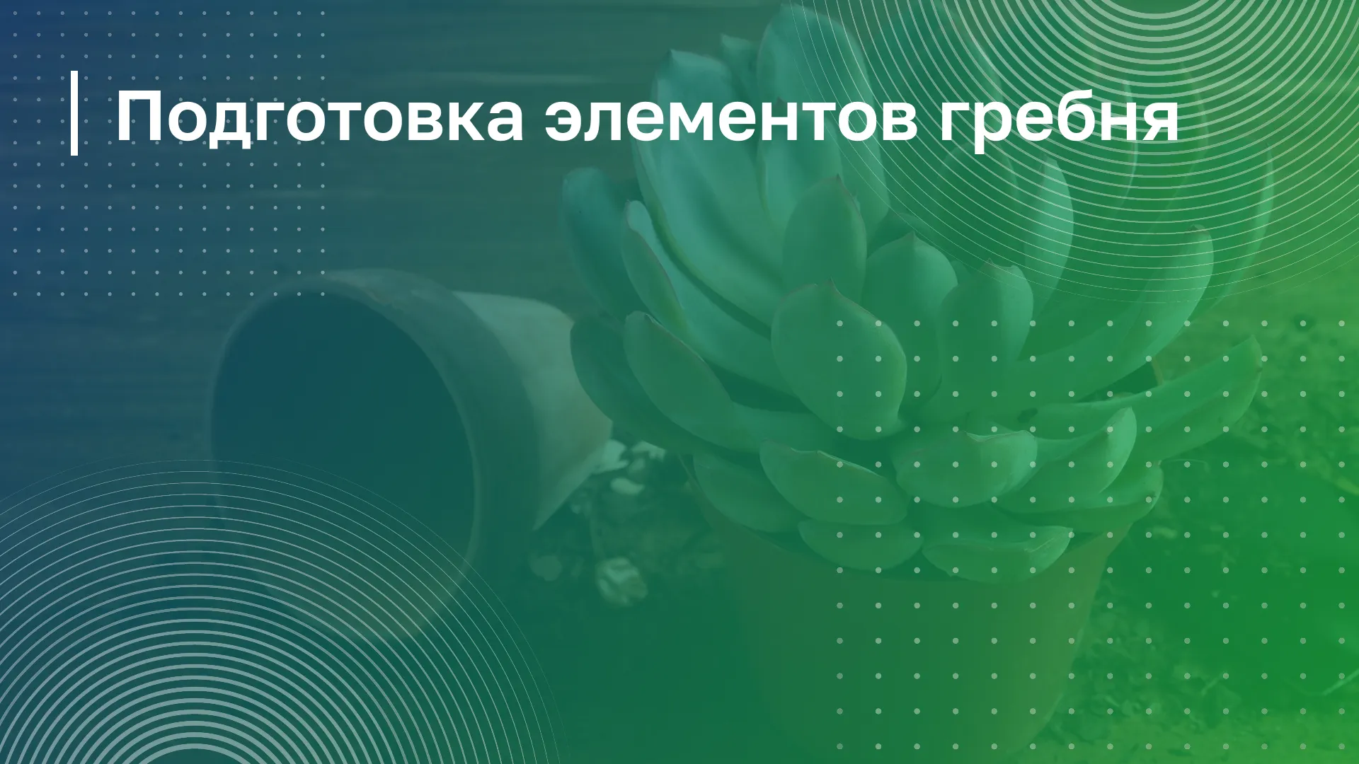 Обложка курса