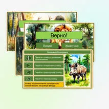 Викторина «Кабан» Е.И. Чарушин
