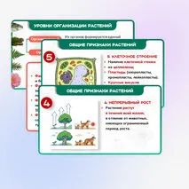 Презентация 