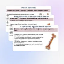 Презентация по биологии (9 класс) 