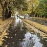 Соловьева Марина Владимировна