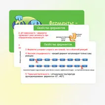 Презентация по биологии 