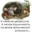 Автор материала