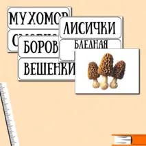 Проверочная работа. Окружающий мир 