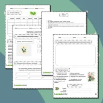 Рабочий лист «Органы растений»