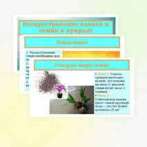Презентация «Распространение плодов и семян в природе» 6 класс