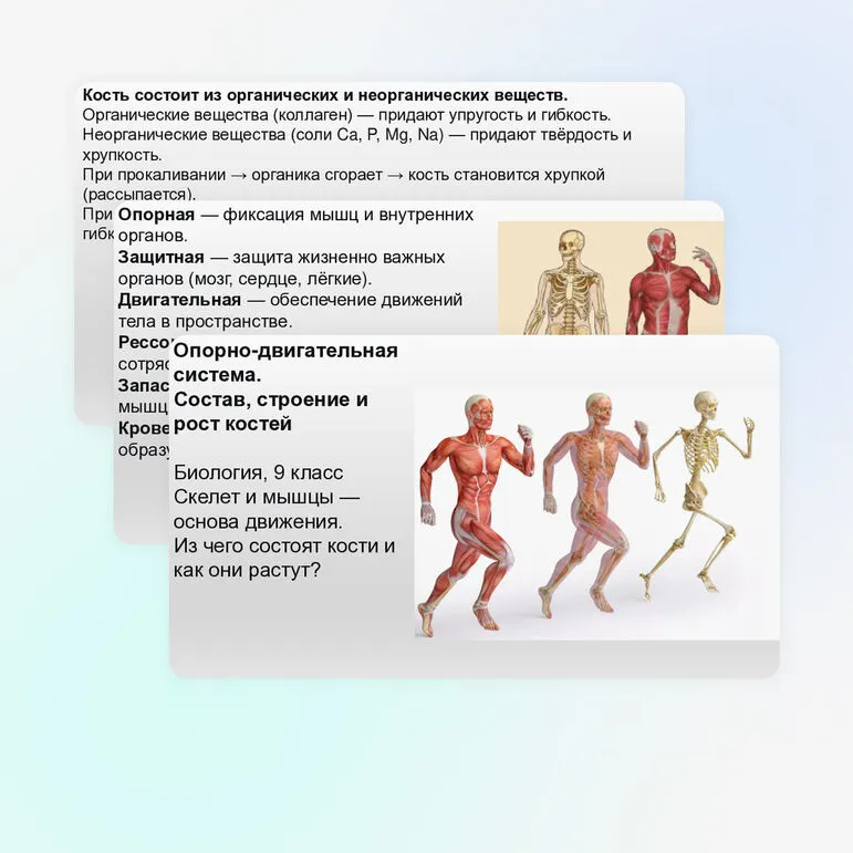 Презентация Опорно-двигательная система. Состав, строение и рост костей