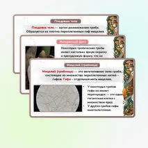 Презентация 