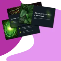 Презентация 