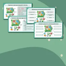 Комплект (конспект + презентация + рабочий лист + лабораторная работа + тест) «Растительная клетка, ее изучение. Лабораторная работа «Изучение микроскопического строения листа водного растения элодеи»». Биология 6 класс