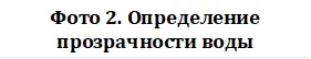 Фото 2. Определение прозрачности воды